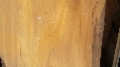 20180421_133437.jpg